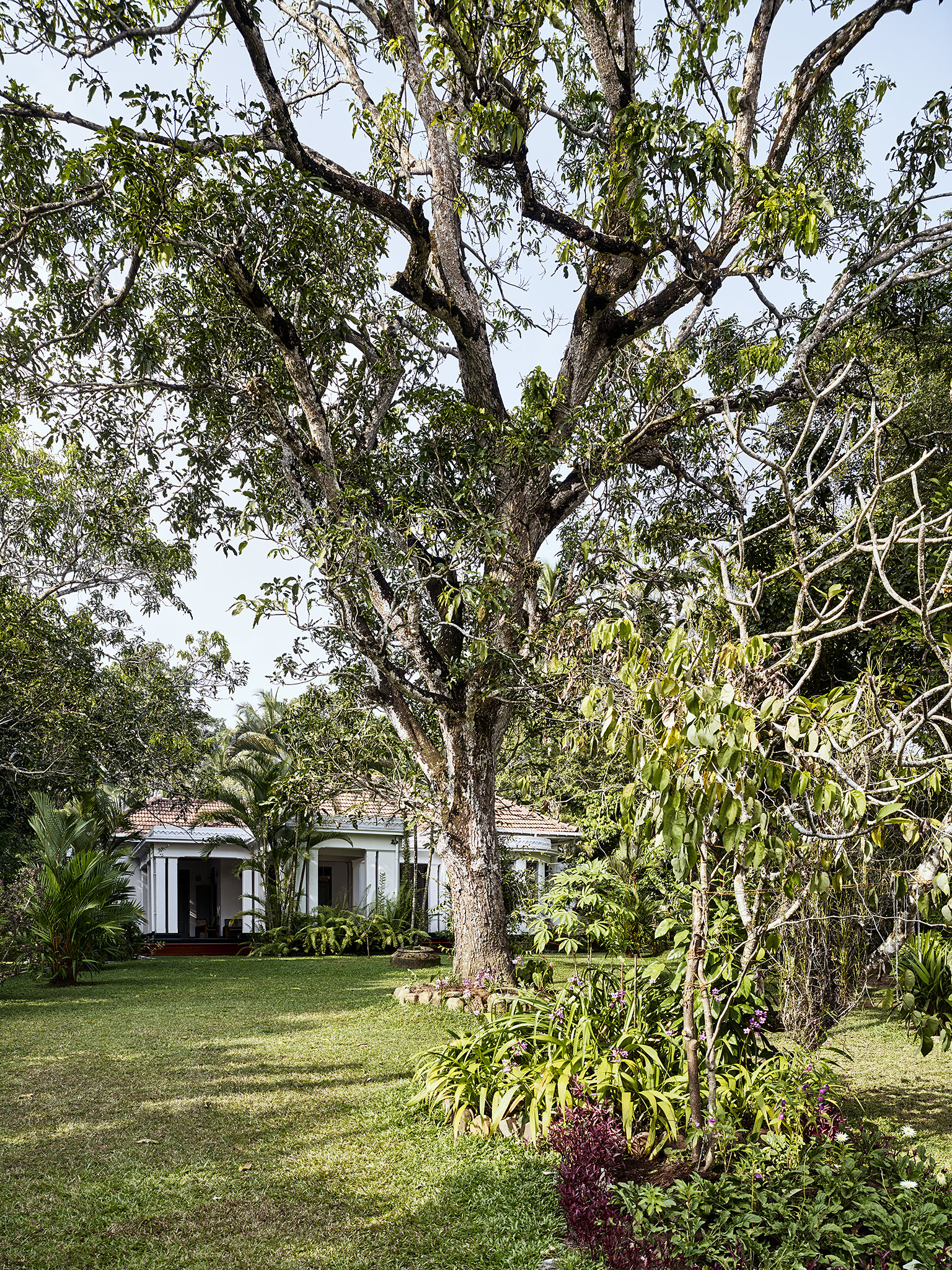 E16583 Alpa 055484 SCREEN